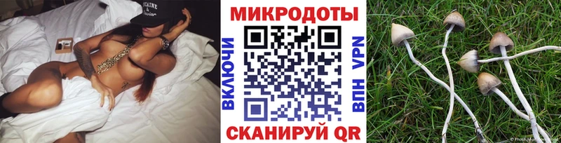 где найти наркотики  Пятигорск  Галлюциногенные грибы ЛСД 